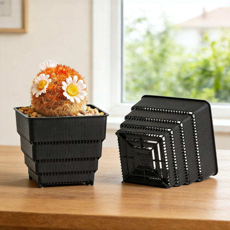 MESHPOT 6-Pack Square Pots for - مراجعة Echeveria Succulent وسعره
