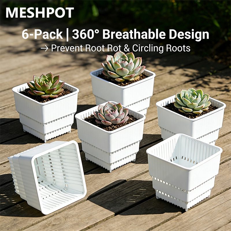 MESHPOT 6-Pack Square Pots for - مراجعة Echeveria Succulent وسعره