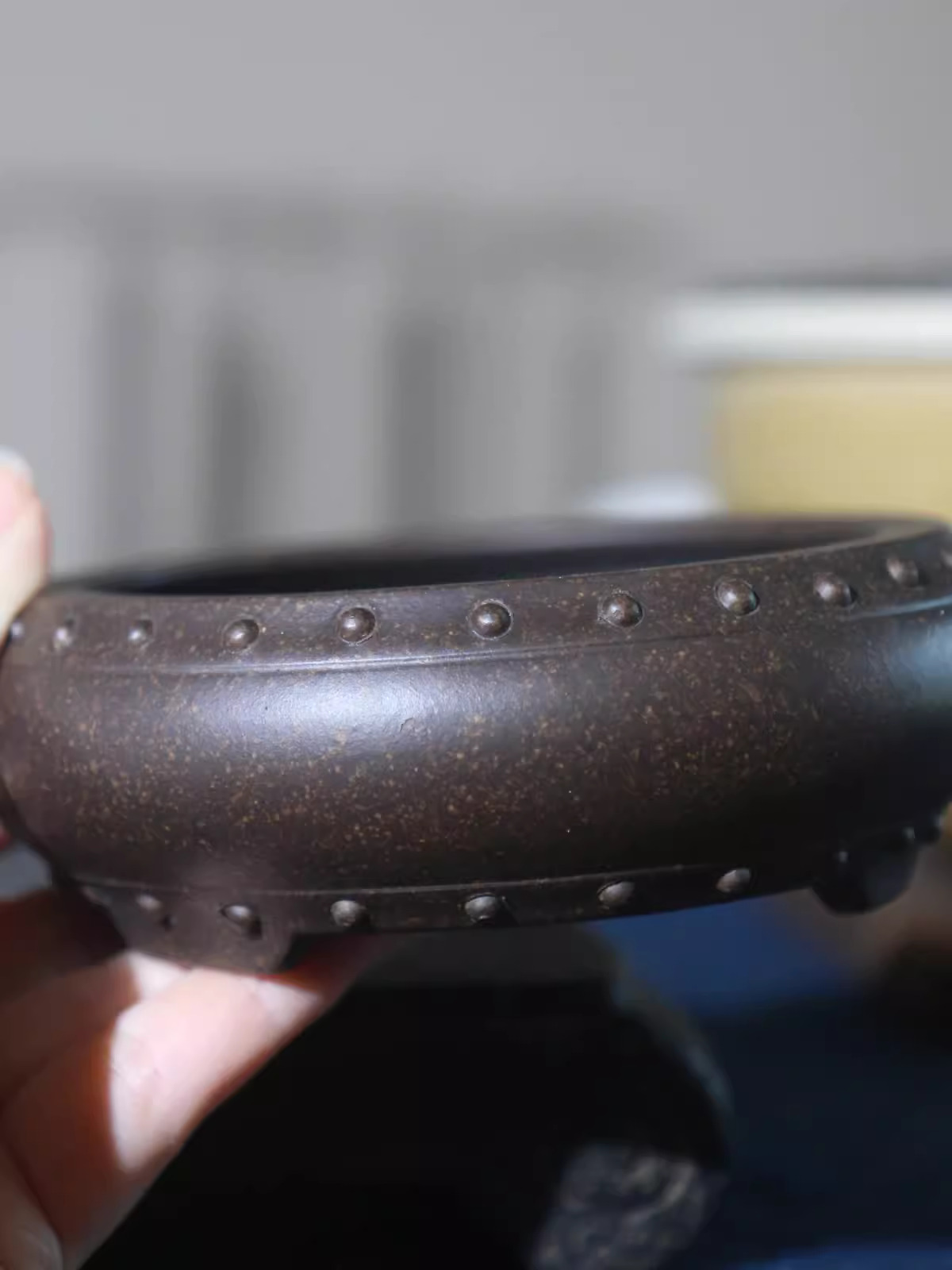 Ceramic Circle Bonsai Pot, Mad - مراجعة Pilea Peperomioides وسعره