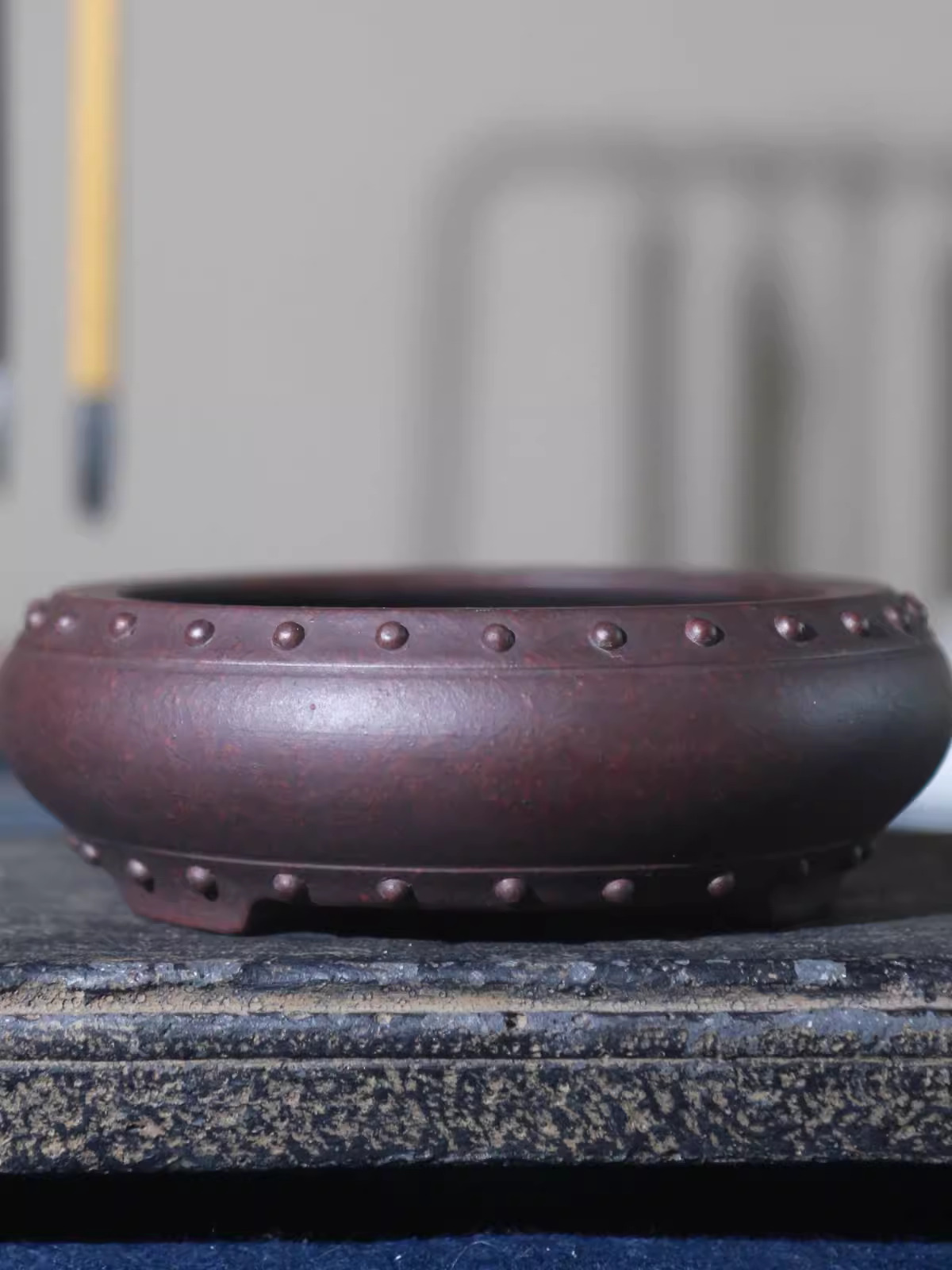 Ceramic Circle Bonsai Pot, Mad - مراجعة Pilea Peperomioides وسعره