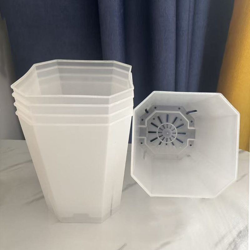 5PCS Transparent Flowerpot 15c - مراجعة Echeveria Succulent وسعره
