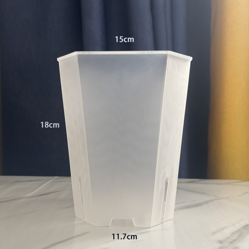 5PCS Transparent Flowerpot 15c - مراجعة Echeveria Succulent وسعره