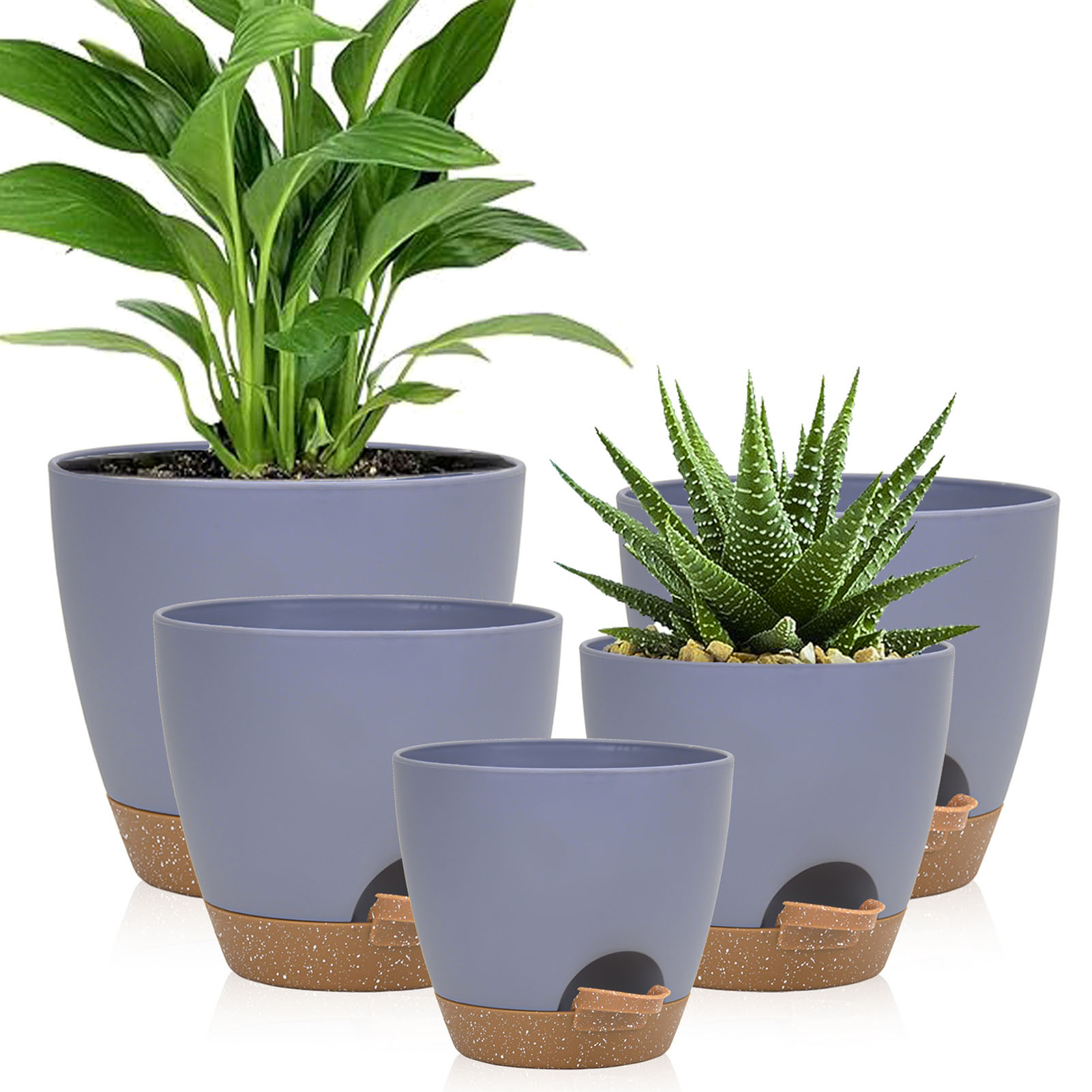 5piece Indoor Flower Pots With - مراجعة Aloe Vera Pot وسعره