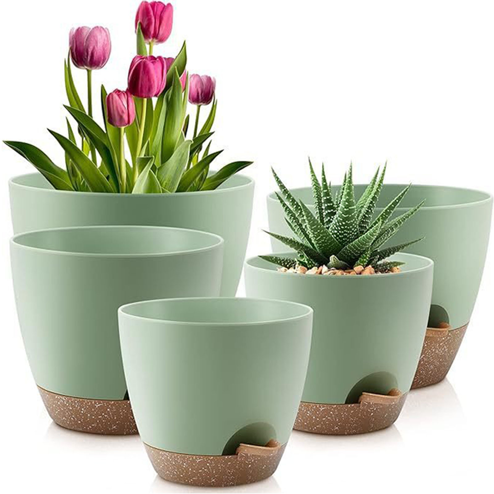 5piece Indoor Flower Pots With - مراجعة Aloe Vera Pot وسعره
