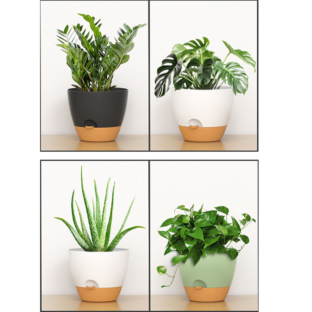 5piece Indoor Flower Pots With - مراجعة Aloe Vera Pot وسعره