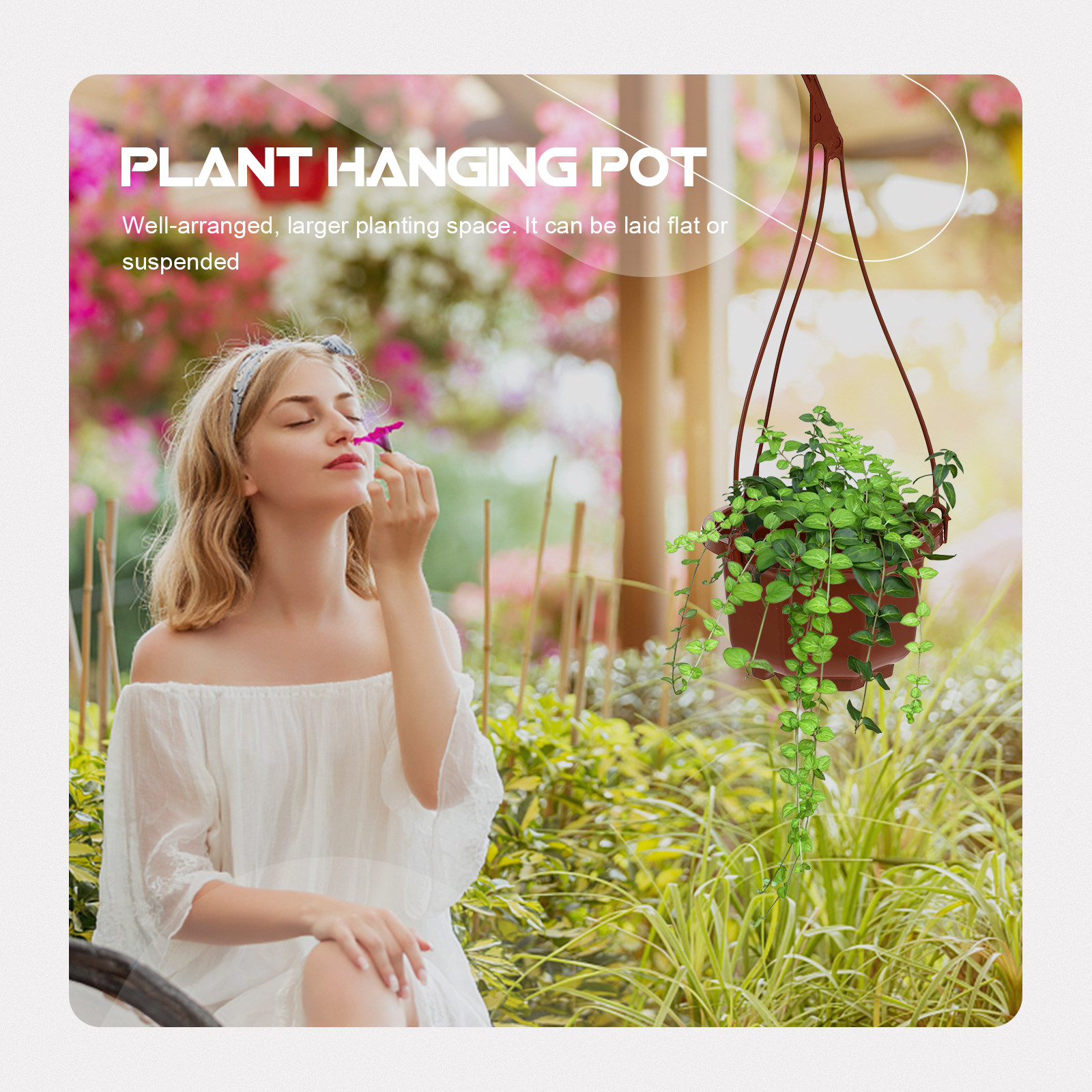 6Sets Hanging Flowerpot Creati - مراجعة Spider Plant Hanging وسعره