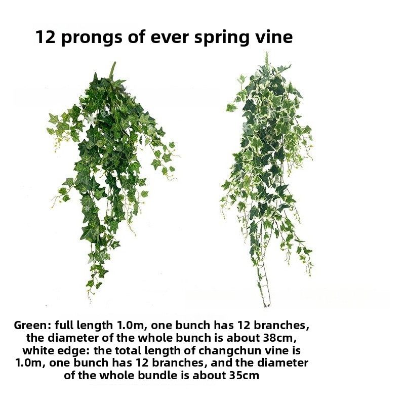 Artificial ivy plant strips fo - مراجعة Spider Plant Hanging وسعره