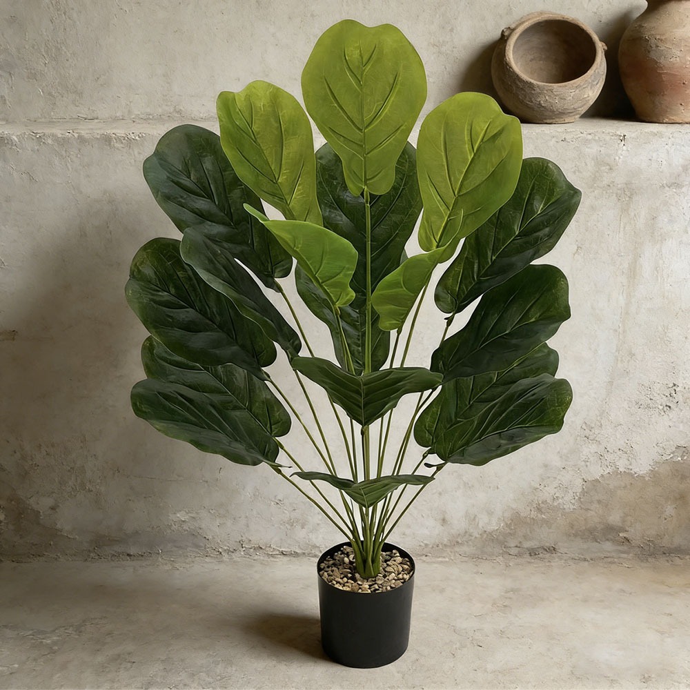 1pc of 75cm Artificial Ficus L - مراجعة Ficus Lyrata Tree وسعره