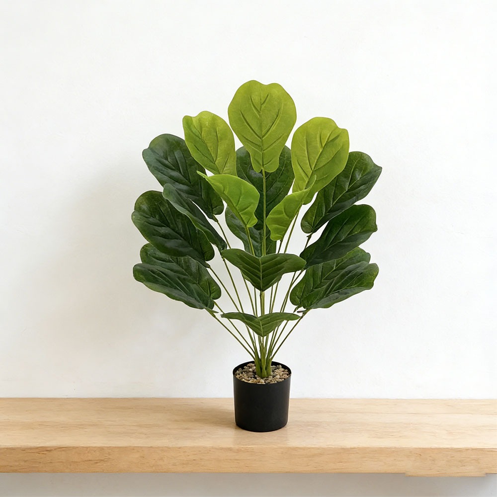 1pc of 75cm Artificial Ficus L - مراجعة Ficus Lyrata Tree وسعره
