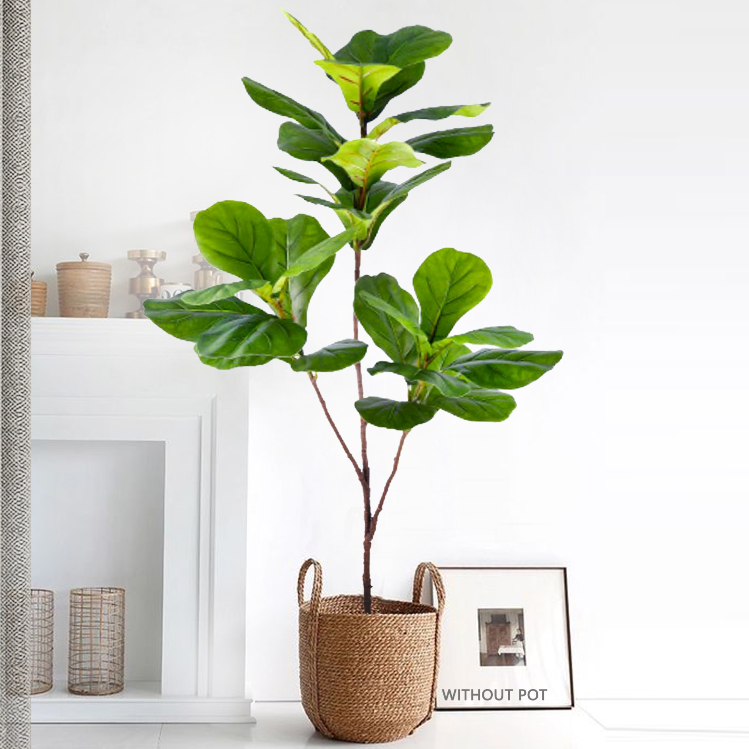 76-135cm Artificial Ficus Tree - مراجعة Dracaena Marginata وسعره
