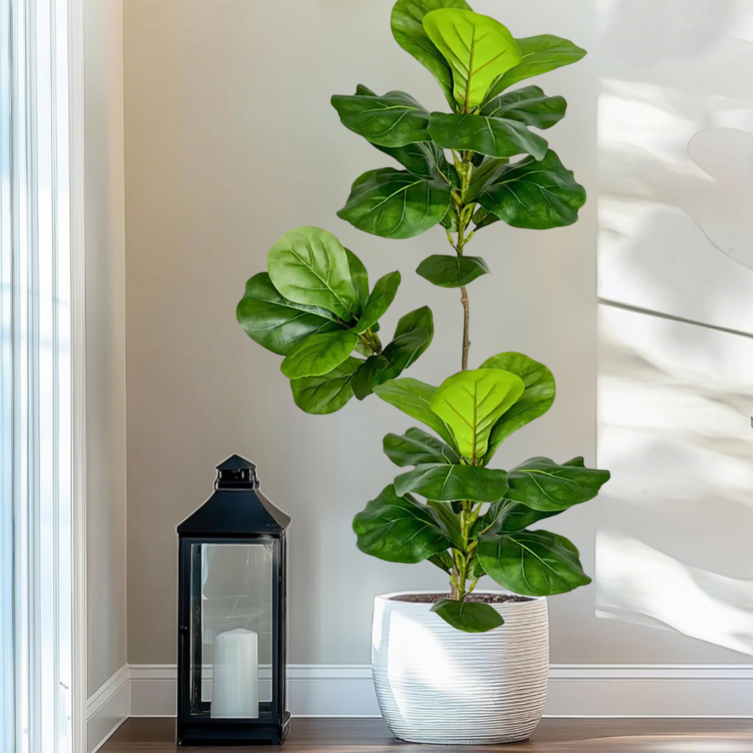 76-135cm Artificial Ficus Tree - مراجعة Dracaena Marginata وسعره