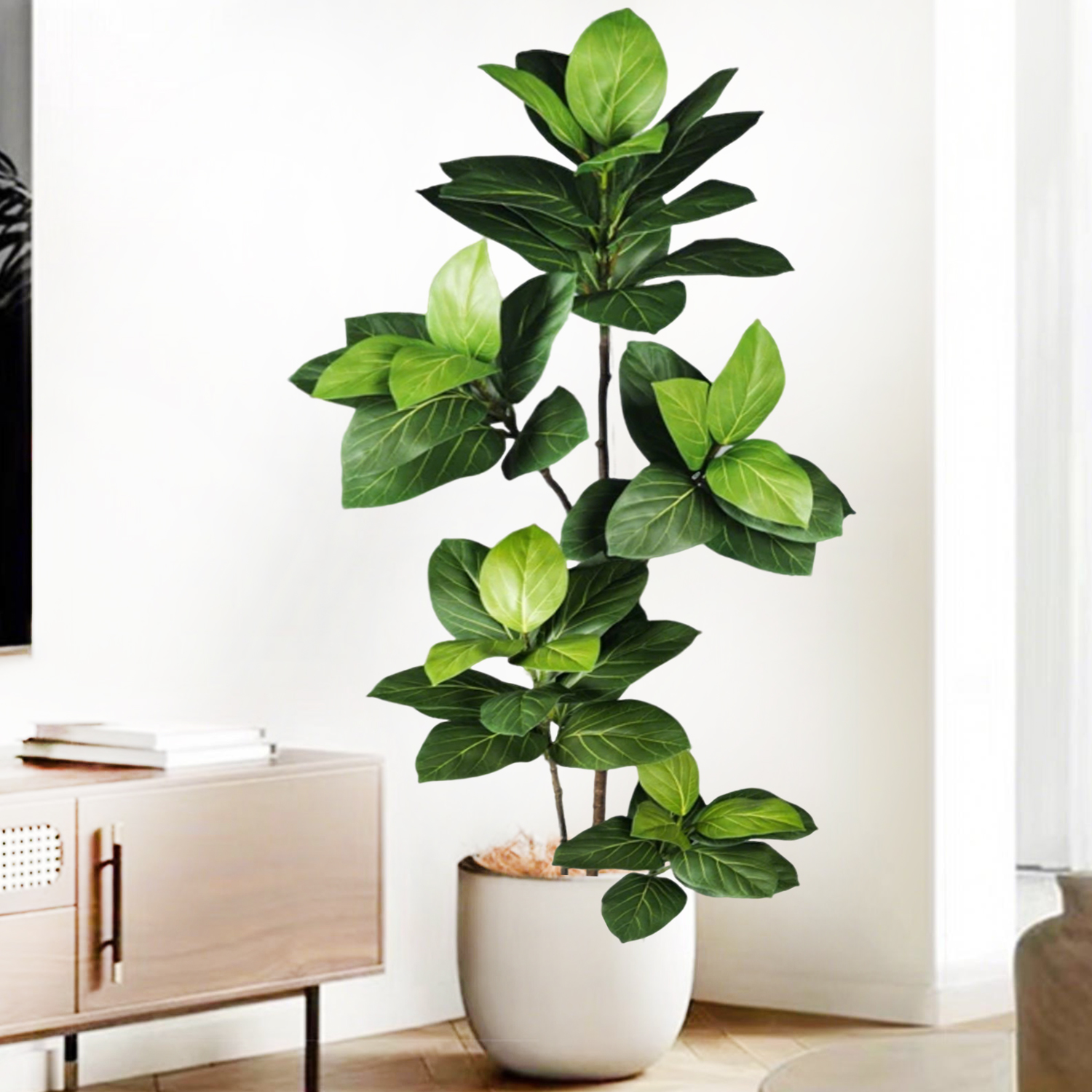 76-135cm Artificial Ficus Tree - مراجعة Dracaena Marginata وسعره