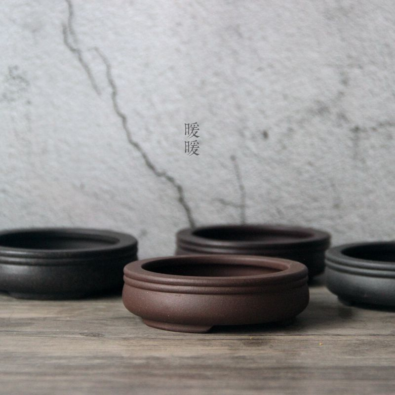 Ceramic Circle Bonsai Pot,Plat - مراجعة Pilea Peperomioides وسعره
