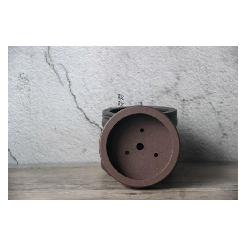 Ceramic Circle Bonsai Pot,Plat - مراجعة Pilea Peperomioides وسعره