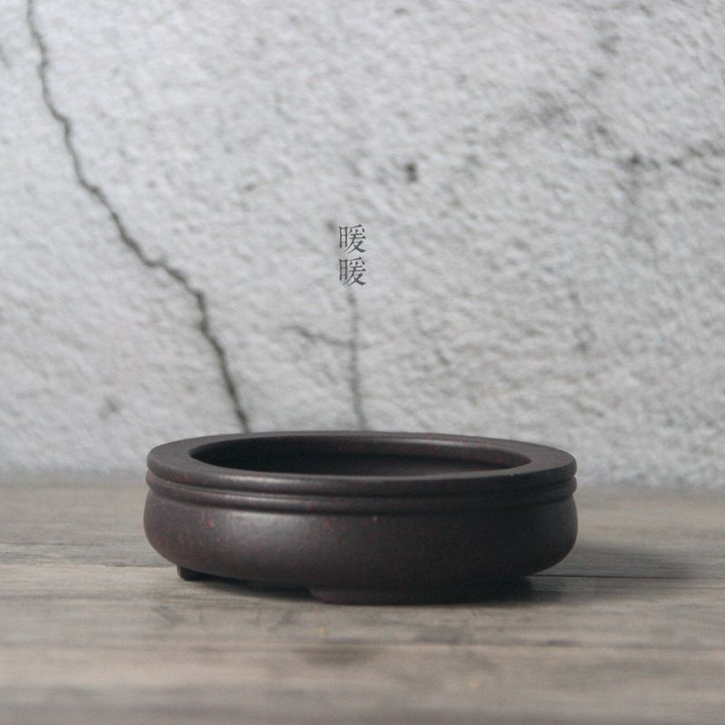 Ceramic Circle Bonsai Pot,Plat - مراجعة Pilea Peperomioides وسعره