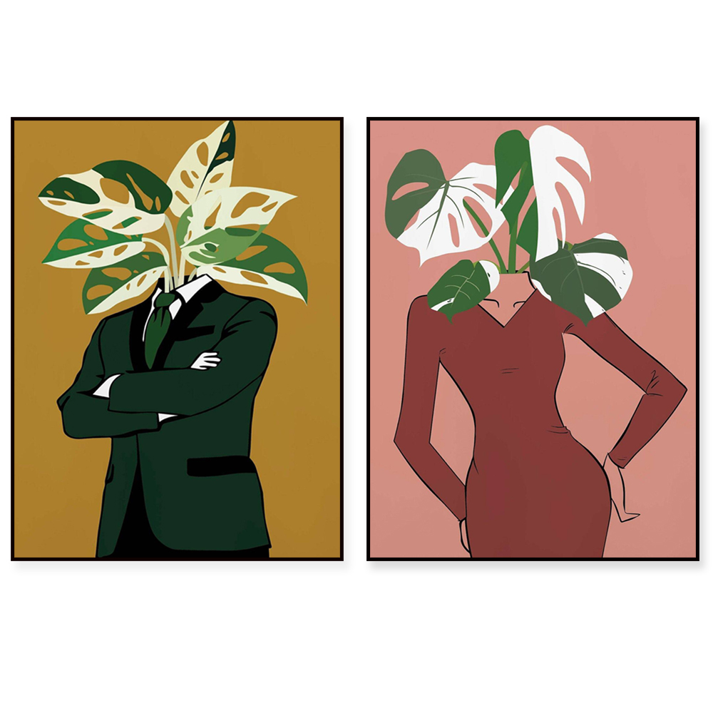 Monstera Albo in a burgundy dr - مراجعة Monstera Adansonii وسعره