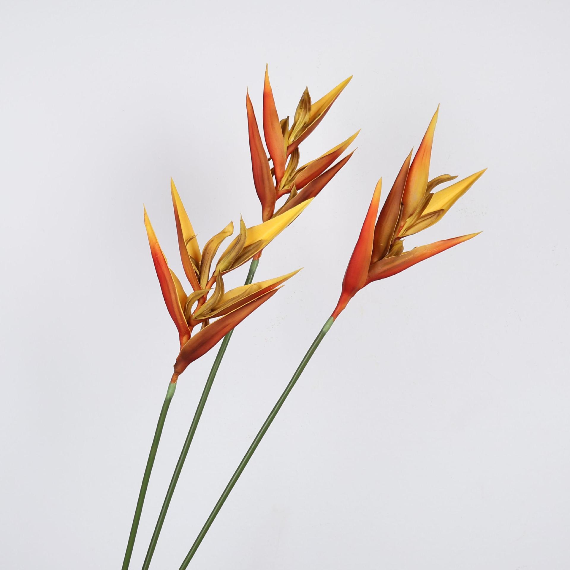 36.6 Inch Artificial Bird of P - مراجعة Bird Paradise Strelitzia وسعره