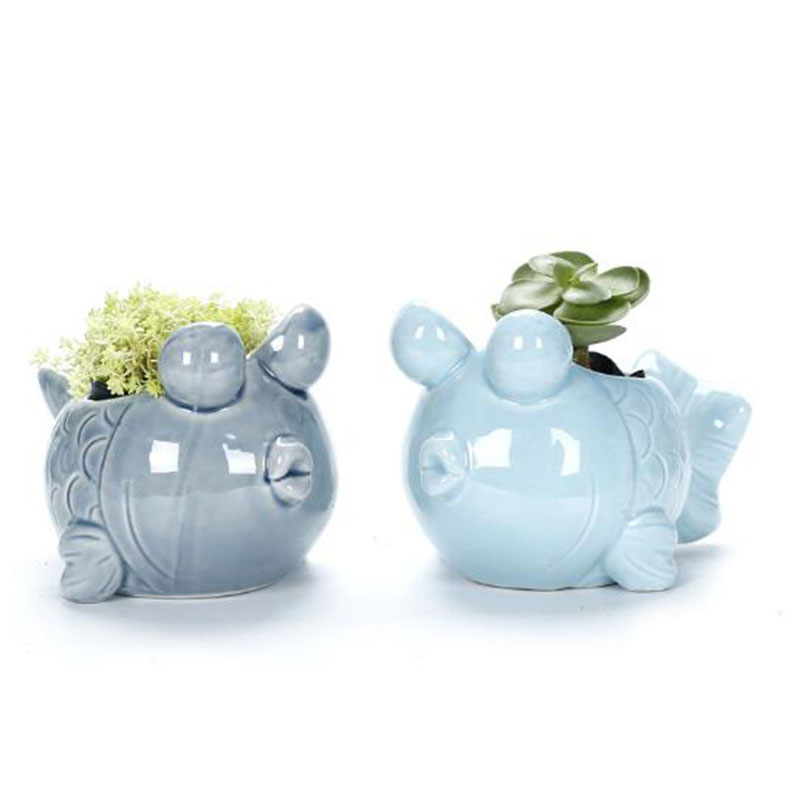 European Style Cute Fleshy Flo - مراجعة Pilea Peperomioides وسعره