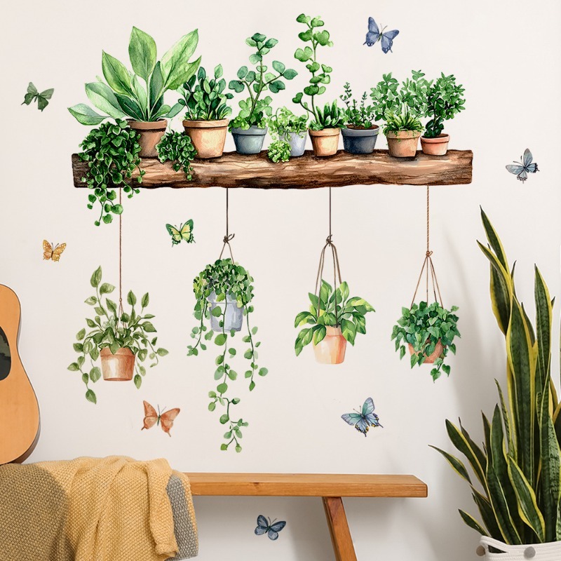 3D Potted Green Plant Shelf Wa - مراجعة Echeveria Succulent وسعره