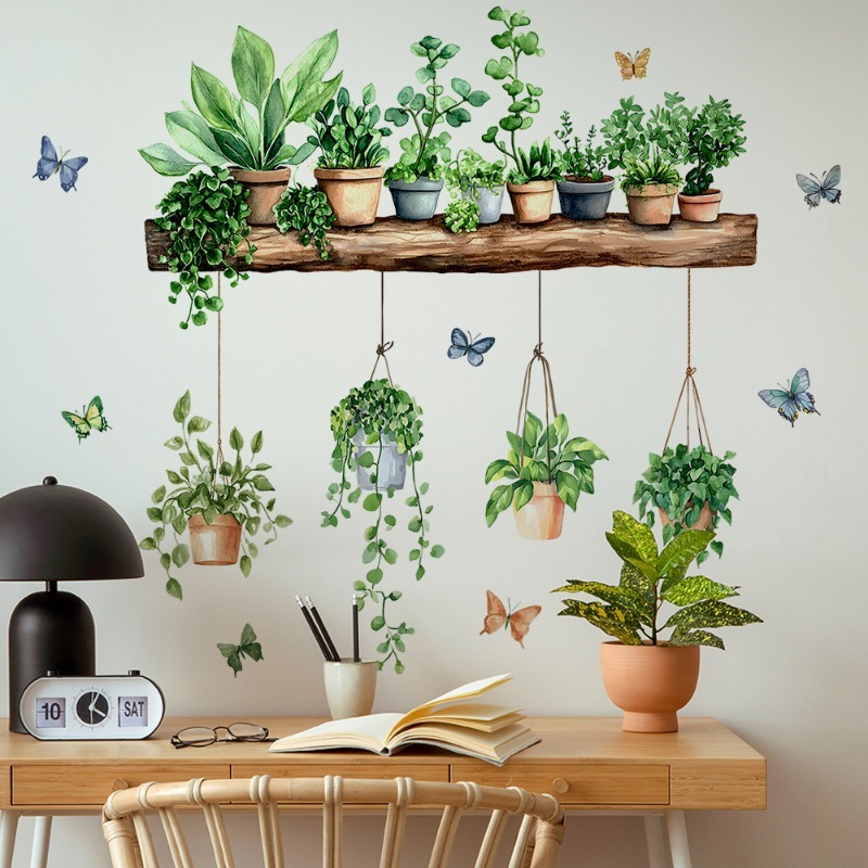 3D Potted Green Plant Shelf Wa - مراجعة Echeveria Succulent وسعره