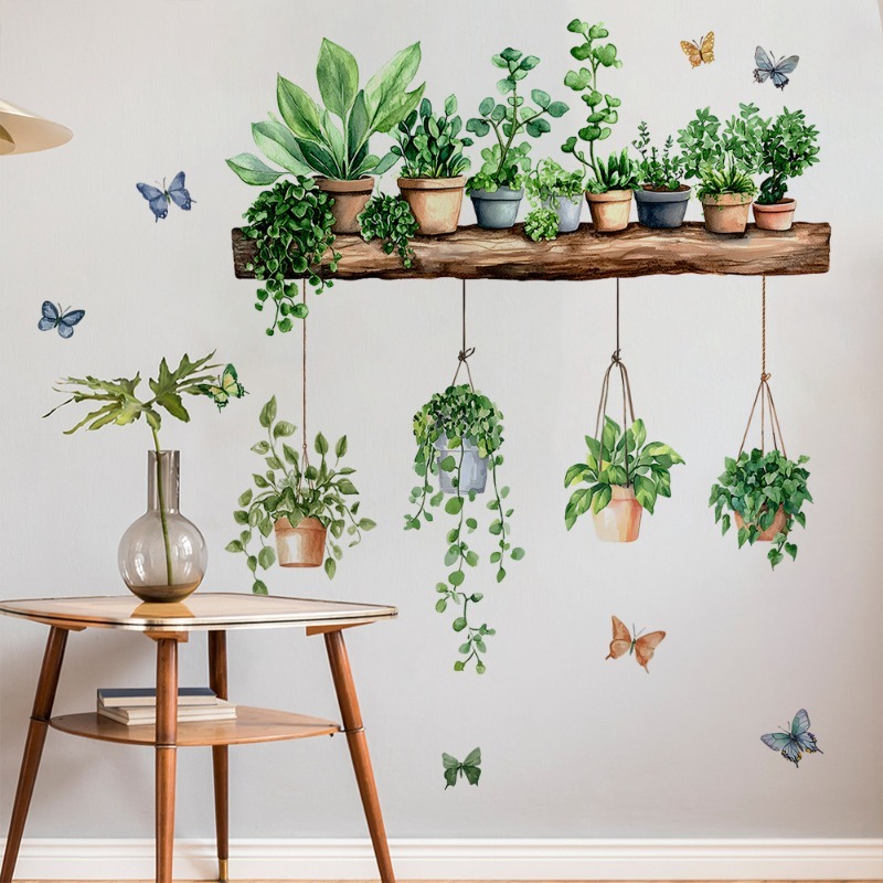 3D Potted Green Plant Shelf Wa - مراجعة Echeveria Succulent وسعره