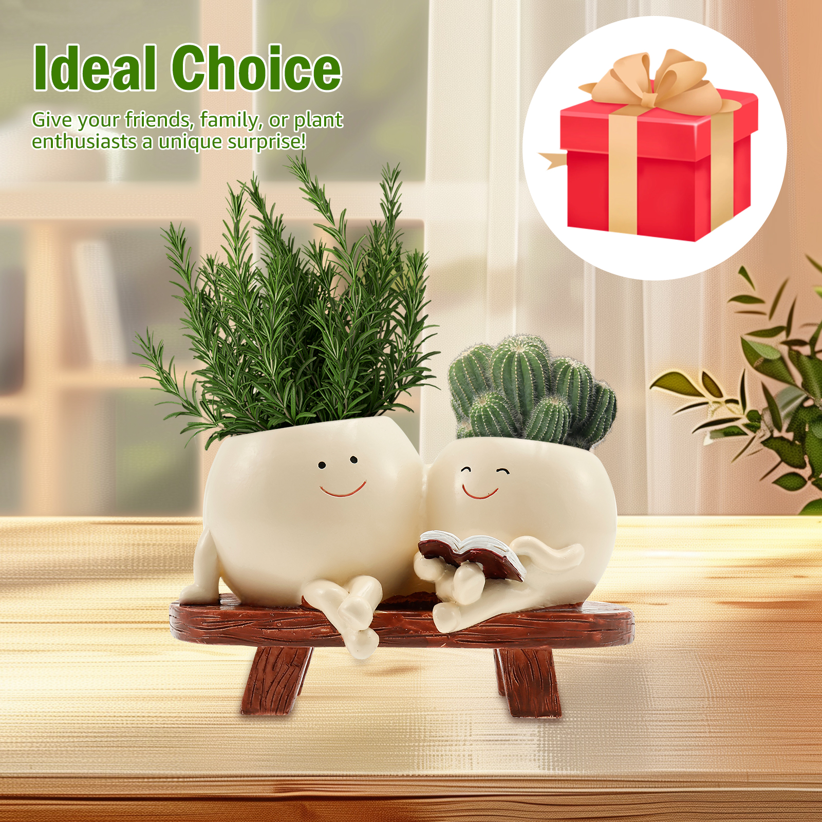 Smile Face Planter Resin Flowe - مراجعة Echeveria Succulent وسعره