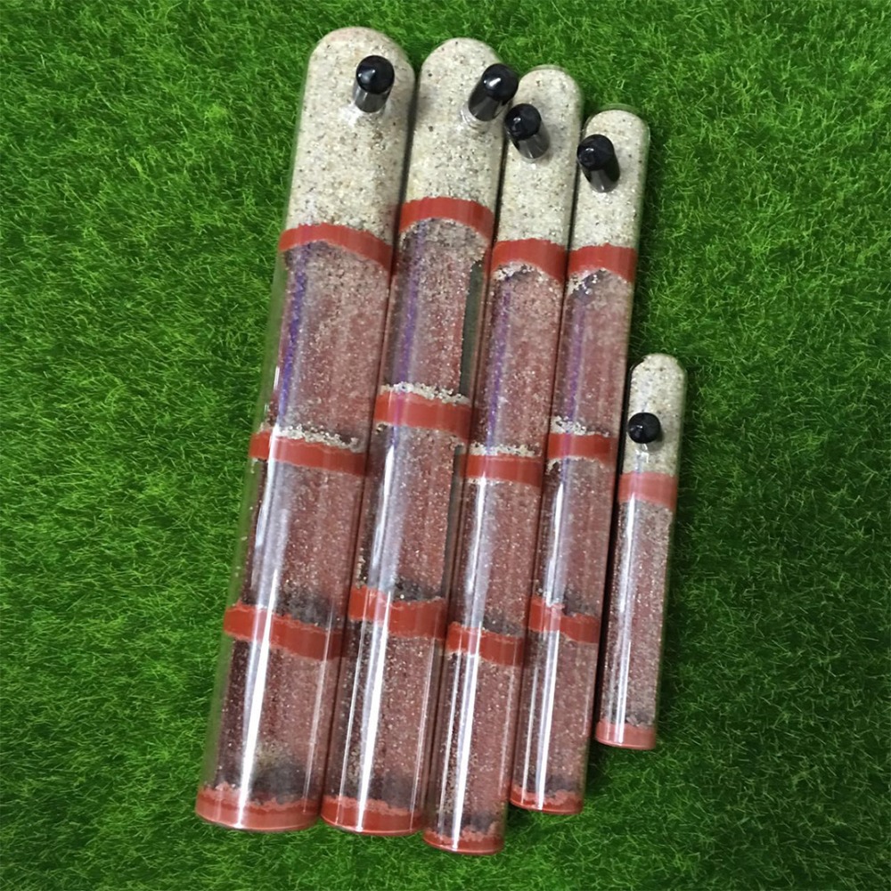 Various Sizes Ant Farm House B - مراجعة Begonia Rex وسعره