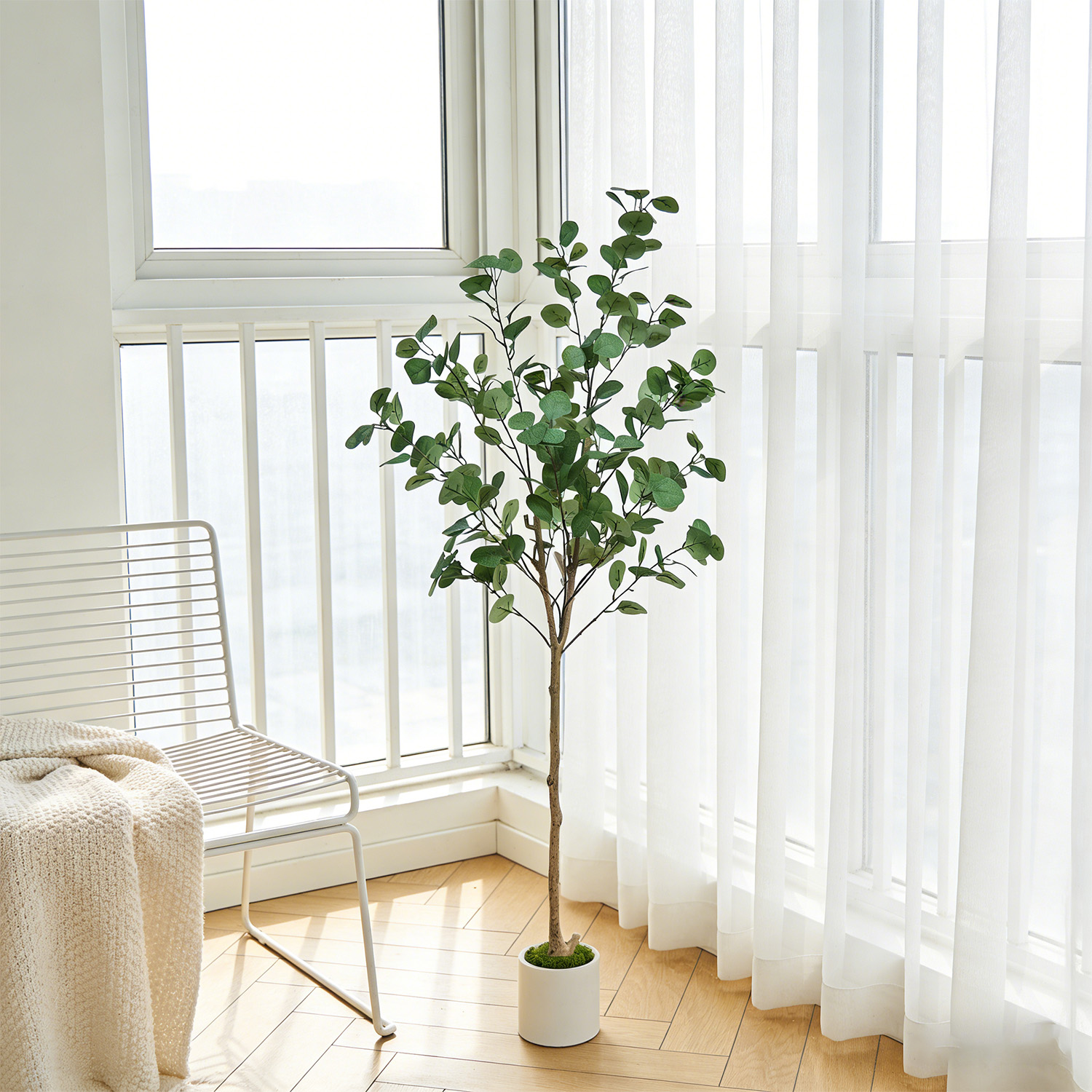 120-155Cm/5.1Ft Artificial Euc - مراجعة Dracaena Marginata وسعره