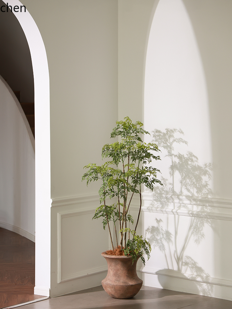 LYY  Floor Vase Green Plant Ar - مراجعة Ficus Lyrata Tree وسعره