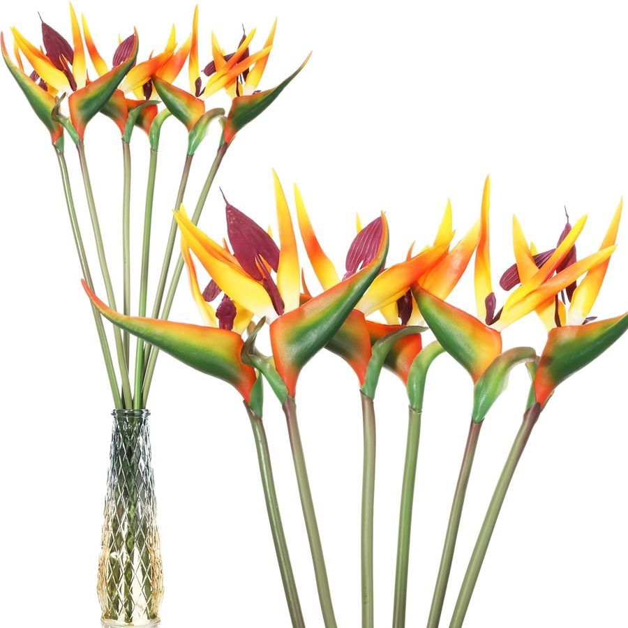 12 Pcs Bird of Paradise Artifi - مراجعة Bird Paradise Strelitzia وسعره