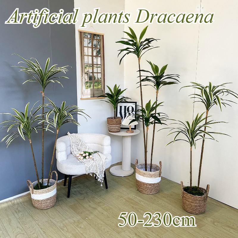 Artificial Dracaena Fake Plant - مراجعة Dracaena Marginata وسعره