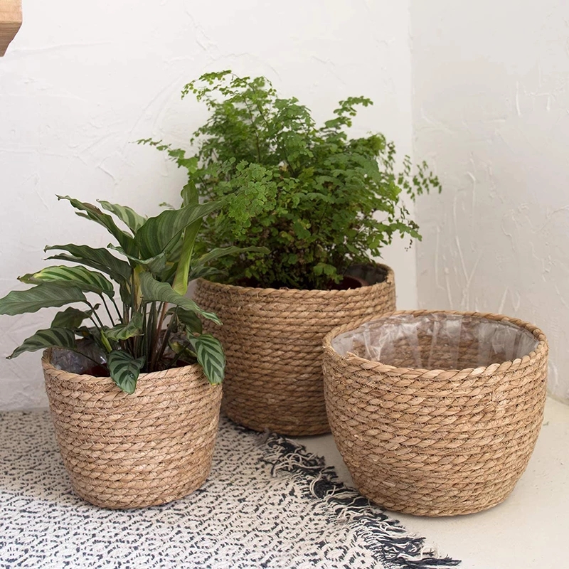 Straw Weaving Flower Plant Pot - مراجعة Aloe Vera Pot وسعره