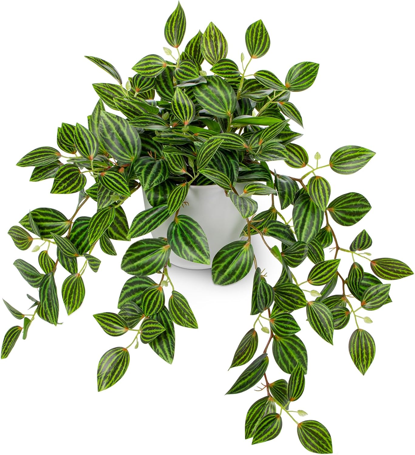 Artificial Plants Indoor Fake  - مراجعة Peperomia Watermelon وسعره