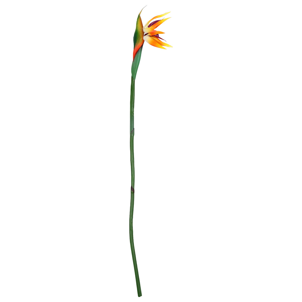 Artificial Bird of Paradise Pl - مراجعة Bird Paradise Strelitzia وسعره