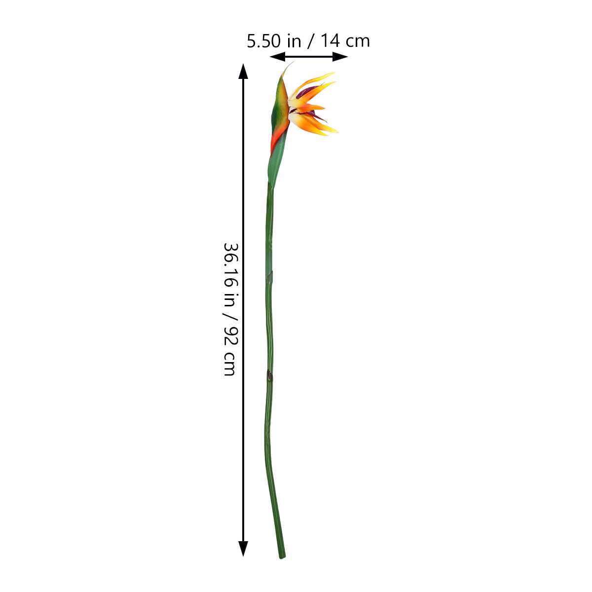 Artificial Bird of Paradise Pl - مراجعة Bird Paradise Strelitzia وسعره