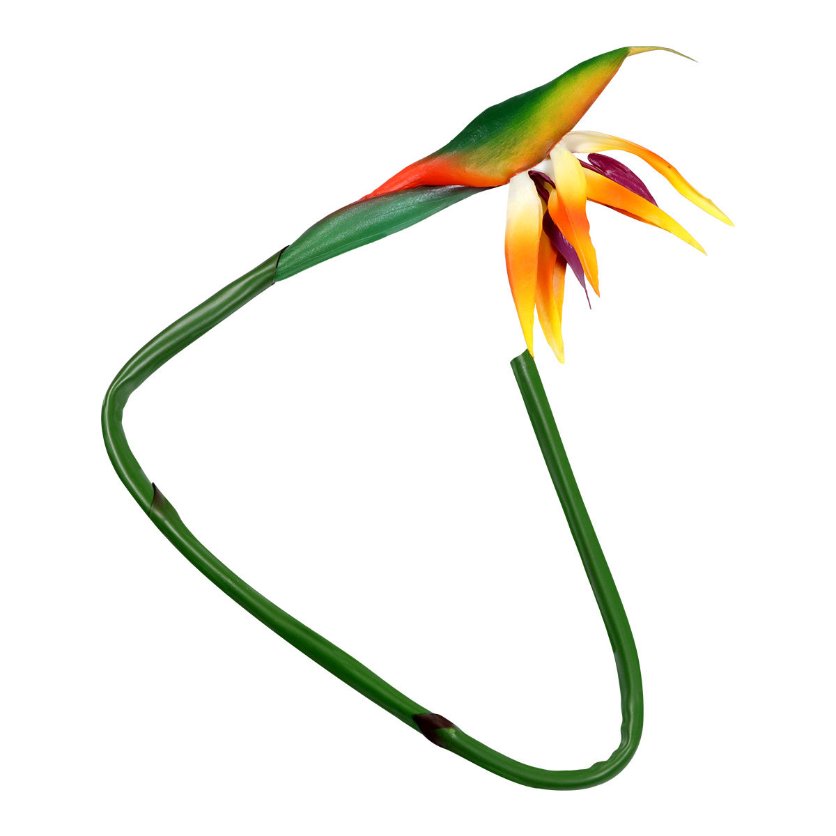 Artificial Strelitzia Bird of  - مراجعة Bird Paradise Strelitzia وسعره