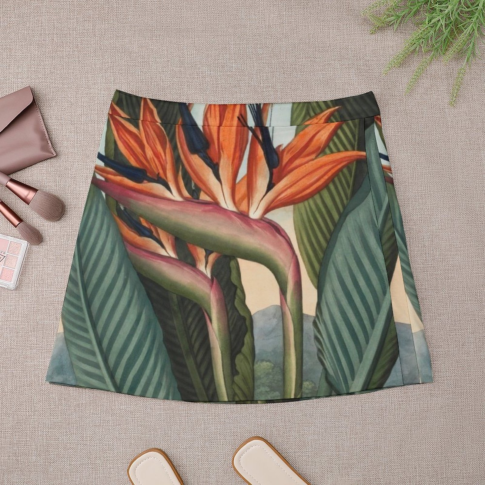 Botanical illustration: Bird o - مراجعة Bird Paradise Strelitzia وسعره