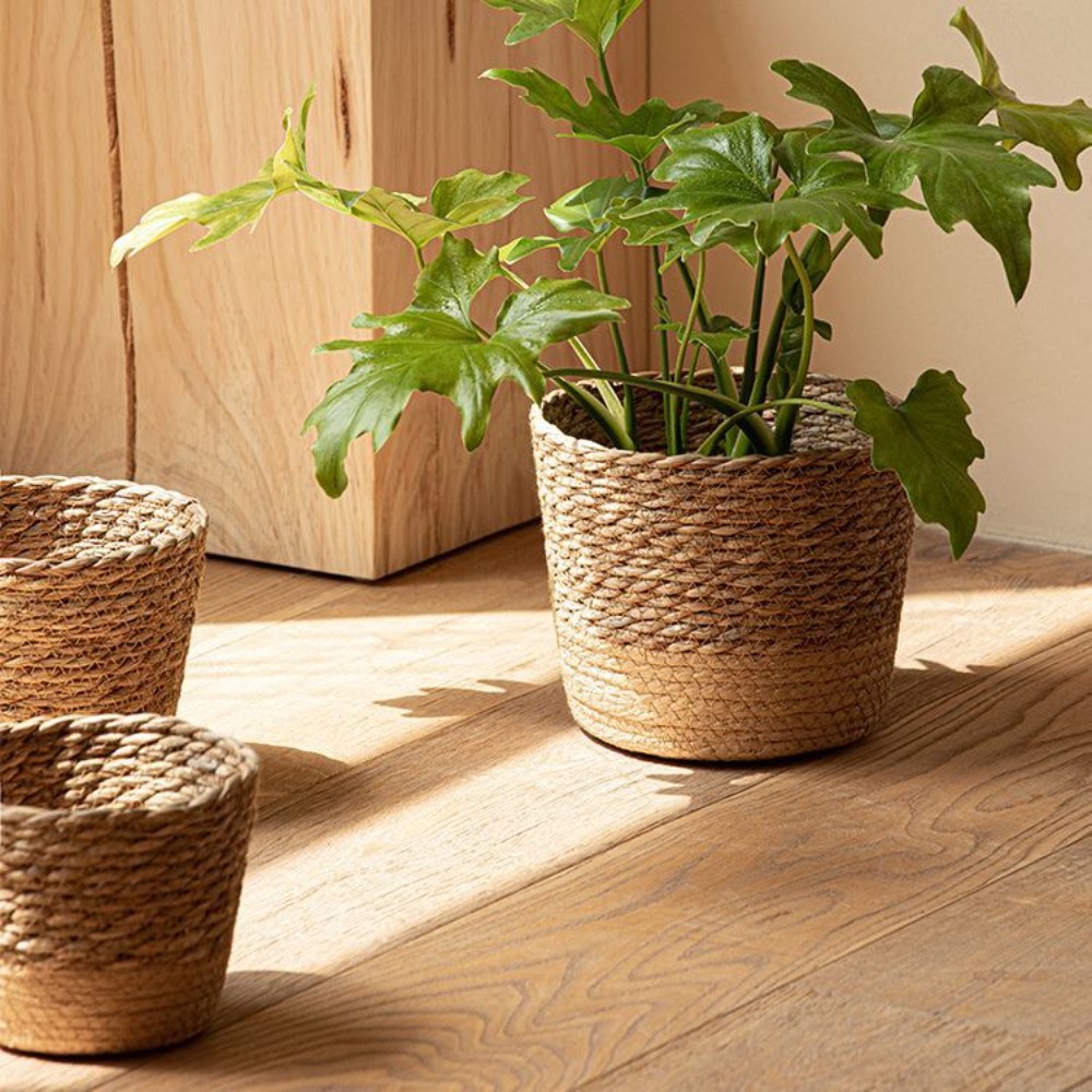 Straw Weaving Flower Plant Pot - مراجعة Aloe Vera Pot وسعره