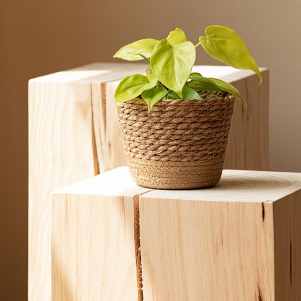 Straw Weaving Flower Plant Pot - مراجعة Aloe Vera Pot وسعره