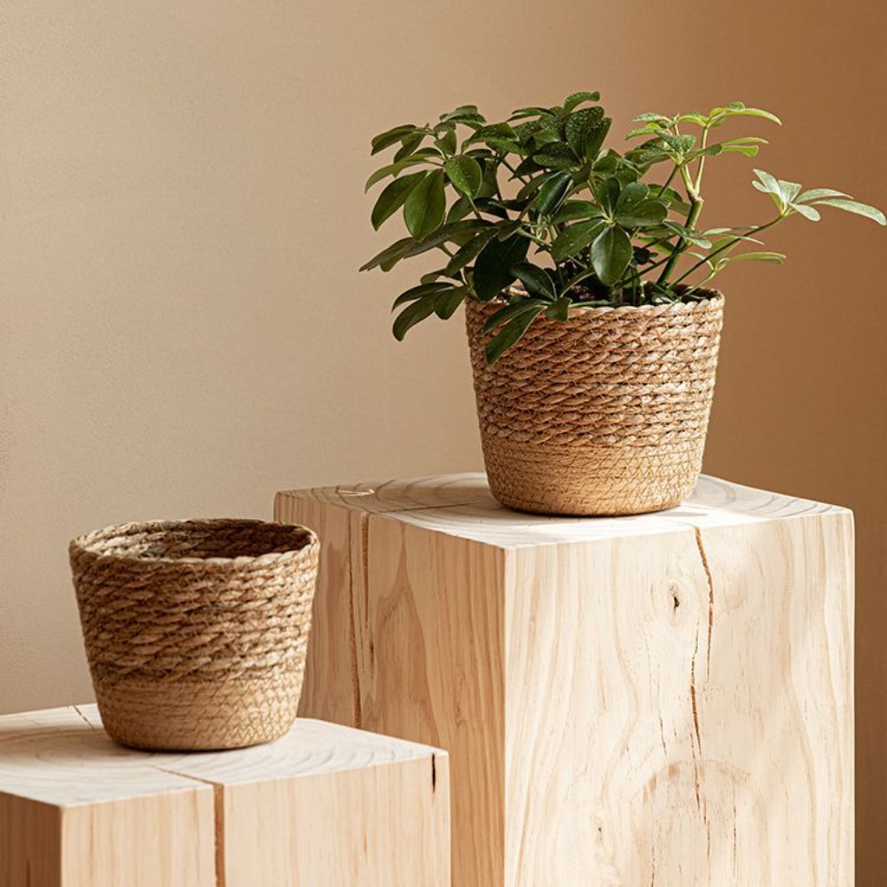 Straw Weaving Flower Plant Pot - مراجعة Aloe Vera Pot وسعره