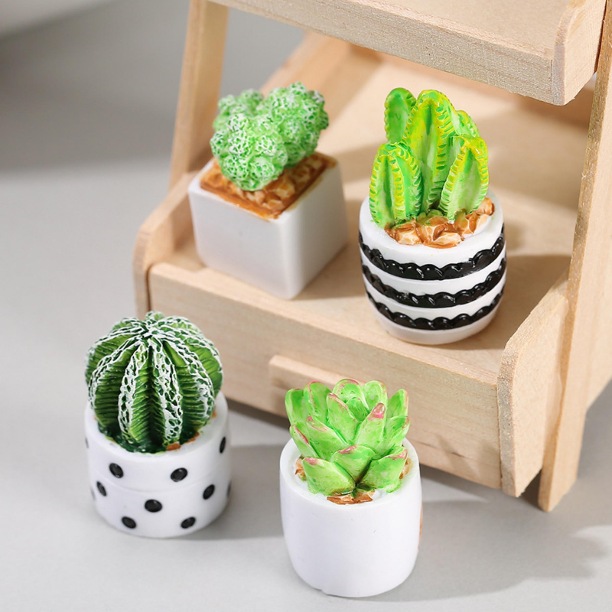 4-Piece Set of Cactus Succulen - مراجعة Echeveria Succulent وسعره