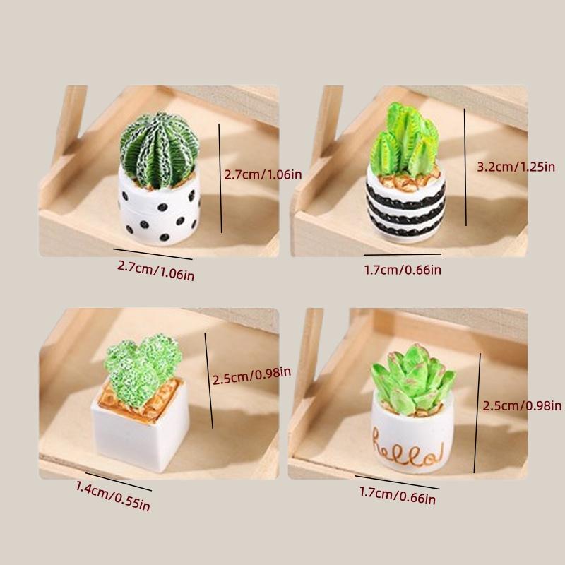 4-Piece Set of Cactus Succulen - مراجعة Echeveria Succulent وسعره