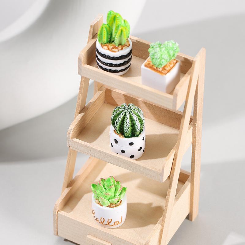 4-Piece Set of Cactus Succulen - مراجعة Echeveria Succulent وسعره