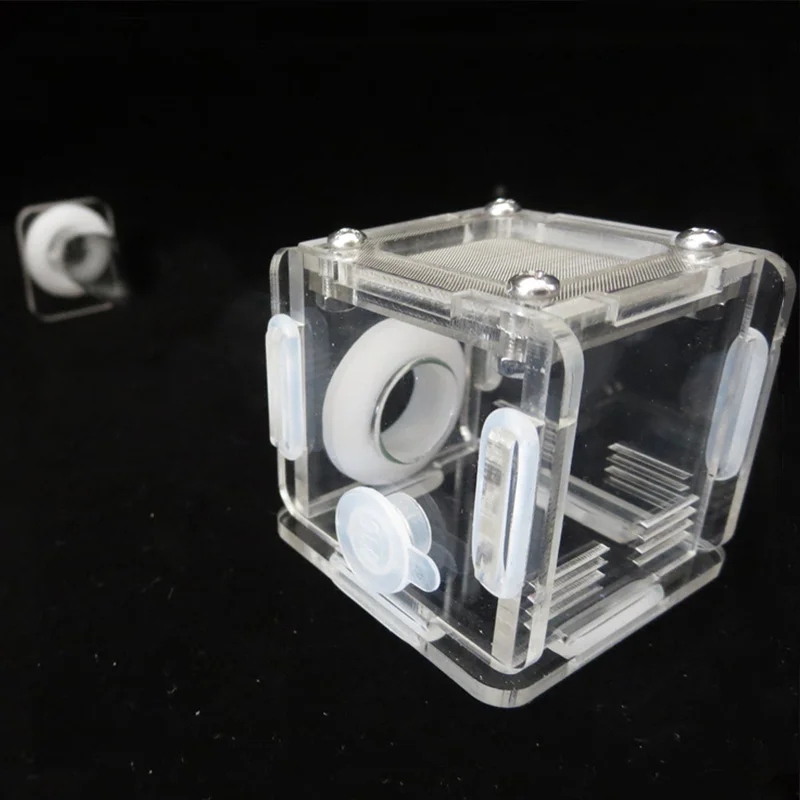 DIY Various Size Ant Farm Bamb - مراجعة Begonia Rex وسعره