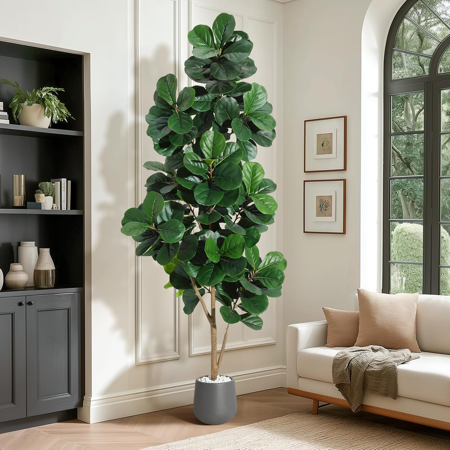 4FT/5FT/6FT/7FT Fiddle Leaf Fi - مراجعة Ficus Lyrata Tree وسعره