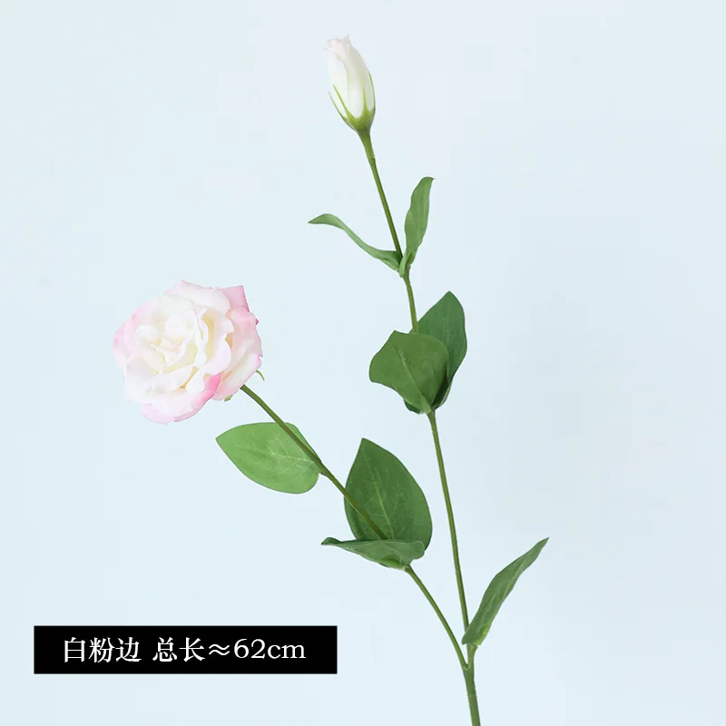 10Pcs/lot Moisturizing 2Head E - مراجعة Ficus Lyrata Tree وسعره