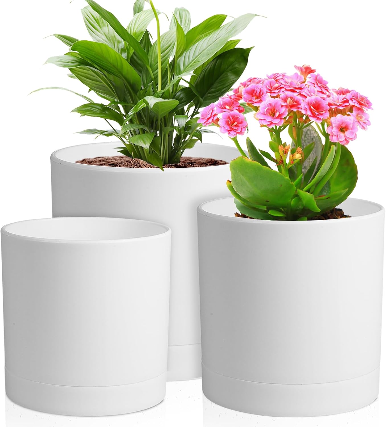 3-Pack Cylinder Flower Pots wi - مراجعة Aloe Vera Pot وسعره