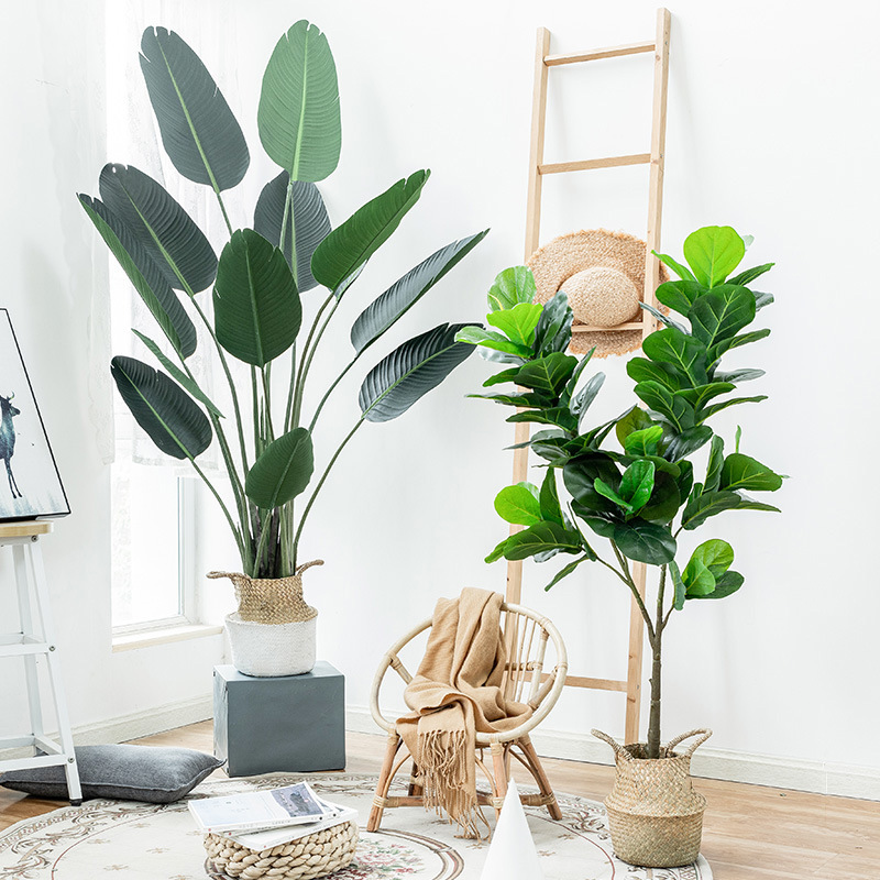 Simulation Palm Tree Artificia - مراجعة Ficus Lyrata Tree وسعره