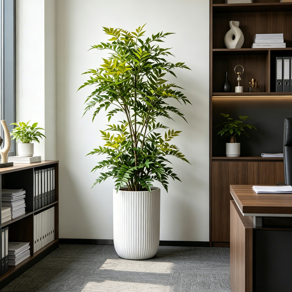 73-135cm Artificial Nandina Pl - مراجعة Dracaena Marginata وسعره