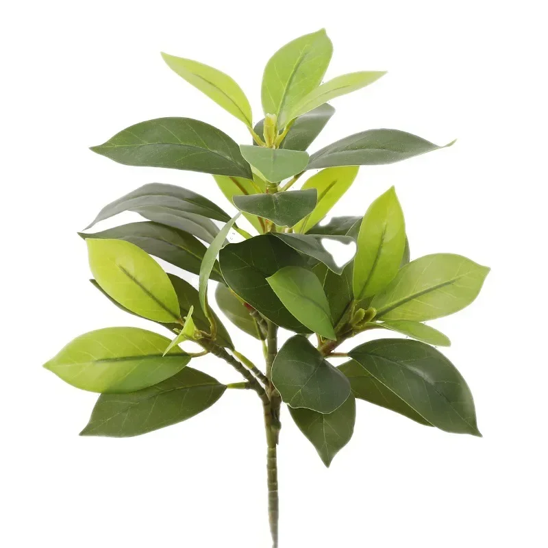Plastic Artificial Color-chang - مراجعة Dracaena Marginata وسعره